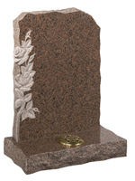 Plants: image 1 0f 4 thumb